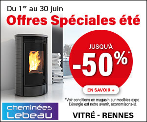 Cheminees Lebeau Cheminees A Vitre 49148624310500 3122538